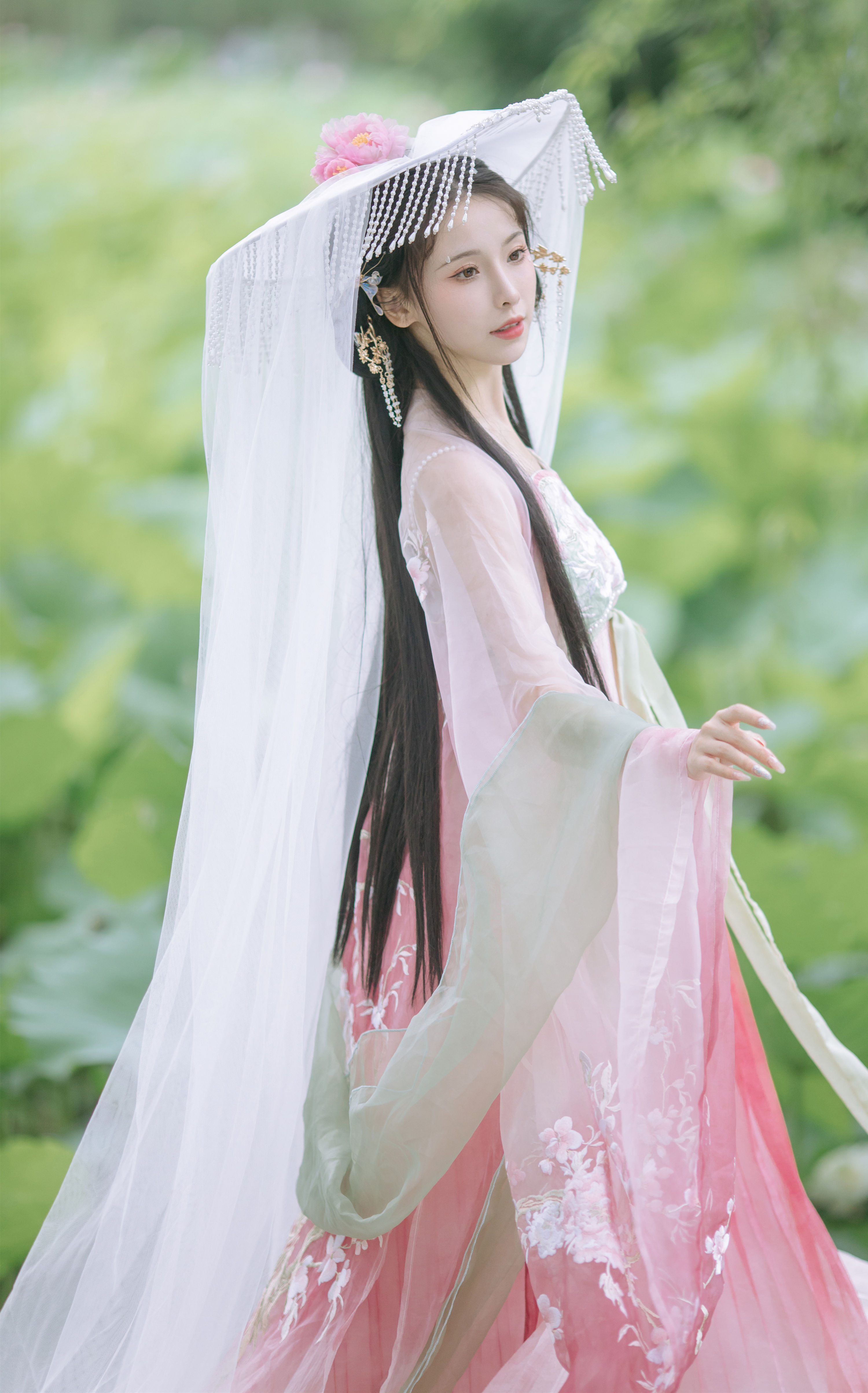 荷香袅袅 一小枝