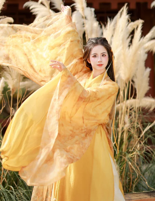 黃衫古裝女子 小杜同學