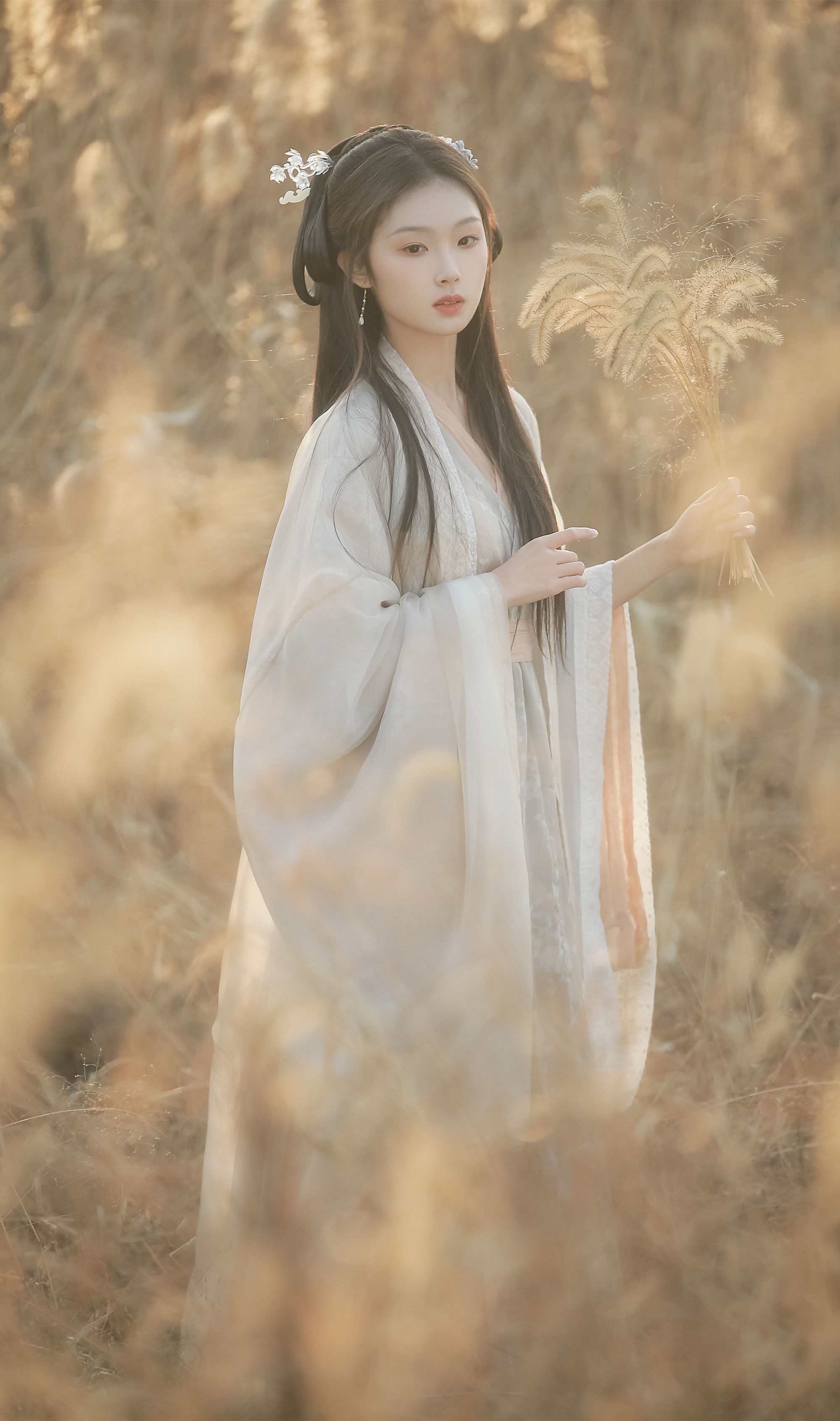 嘆秋 溱溱