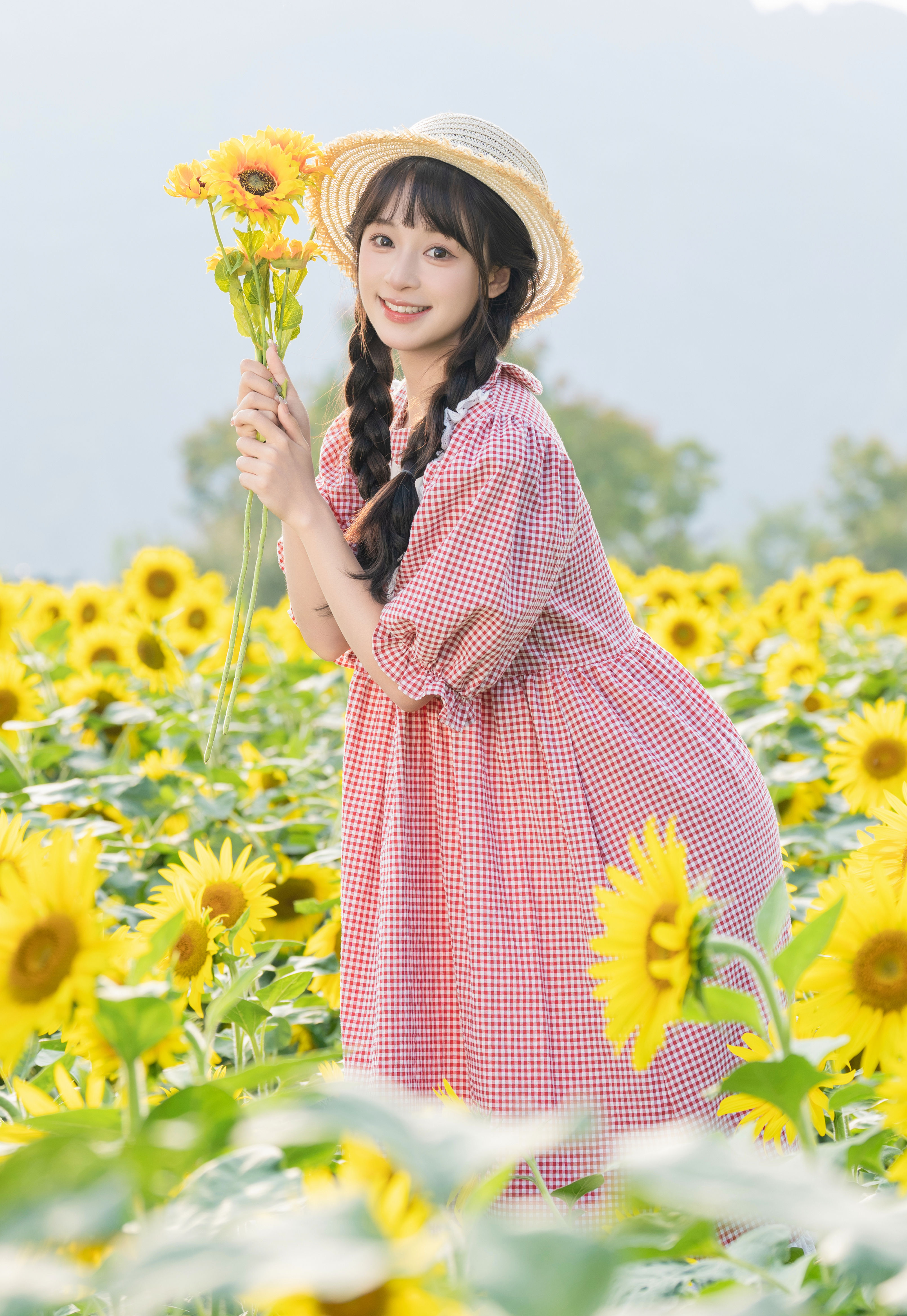 向日葵 夏芋小年