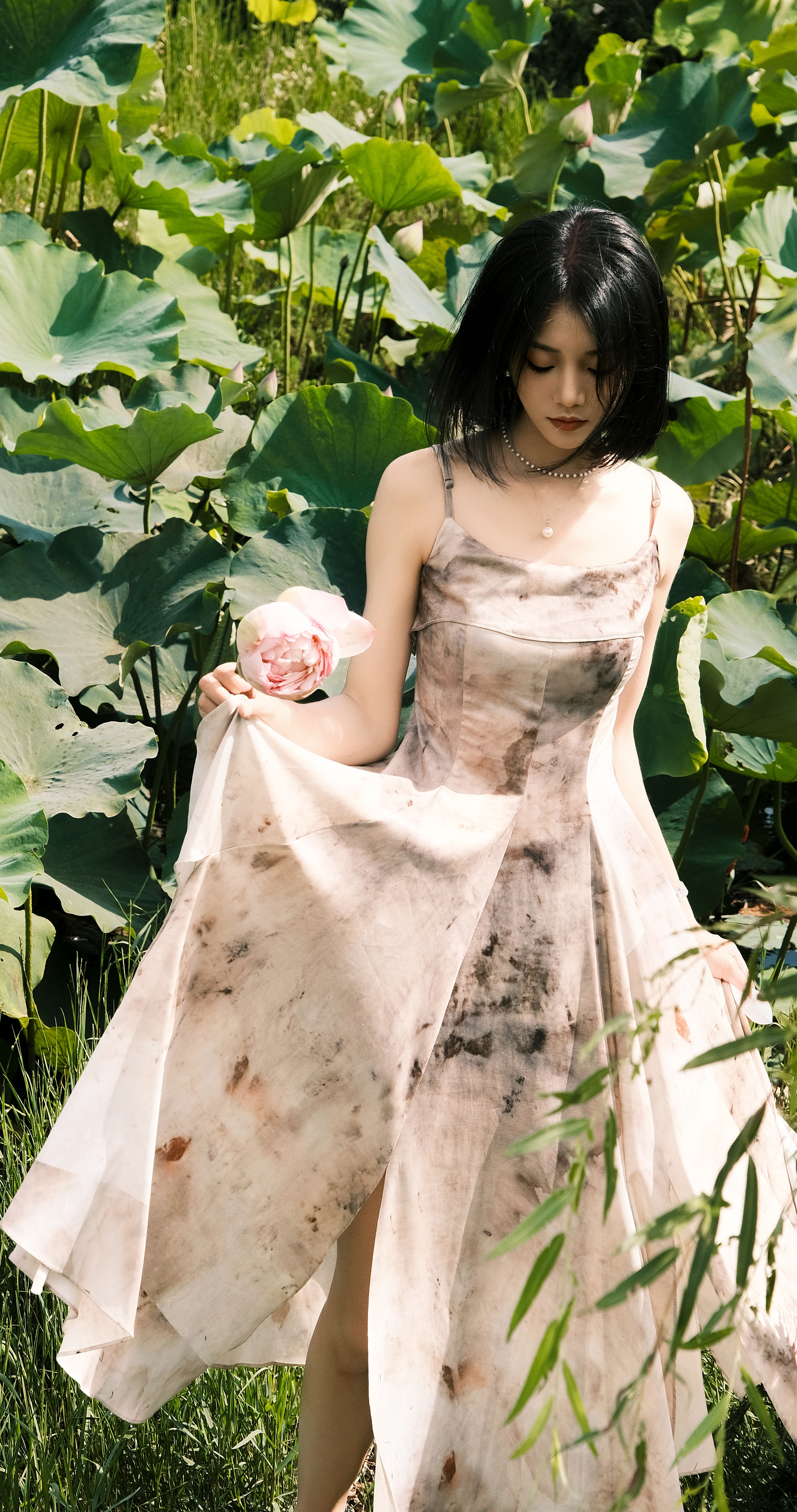 那年夏荷 李悅