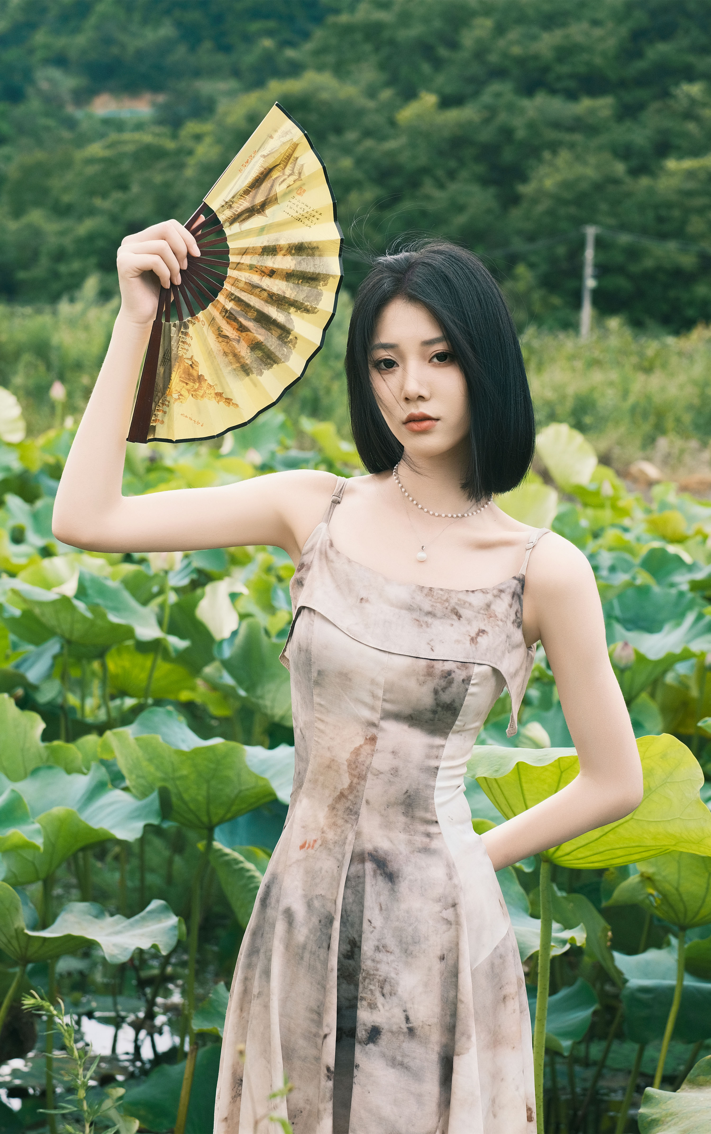 那年夏荷 扇子