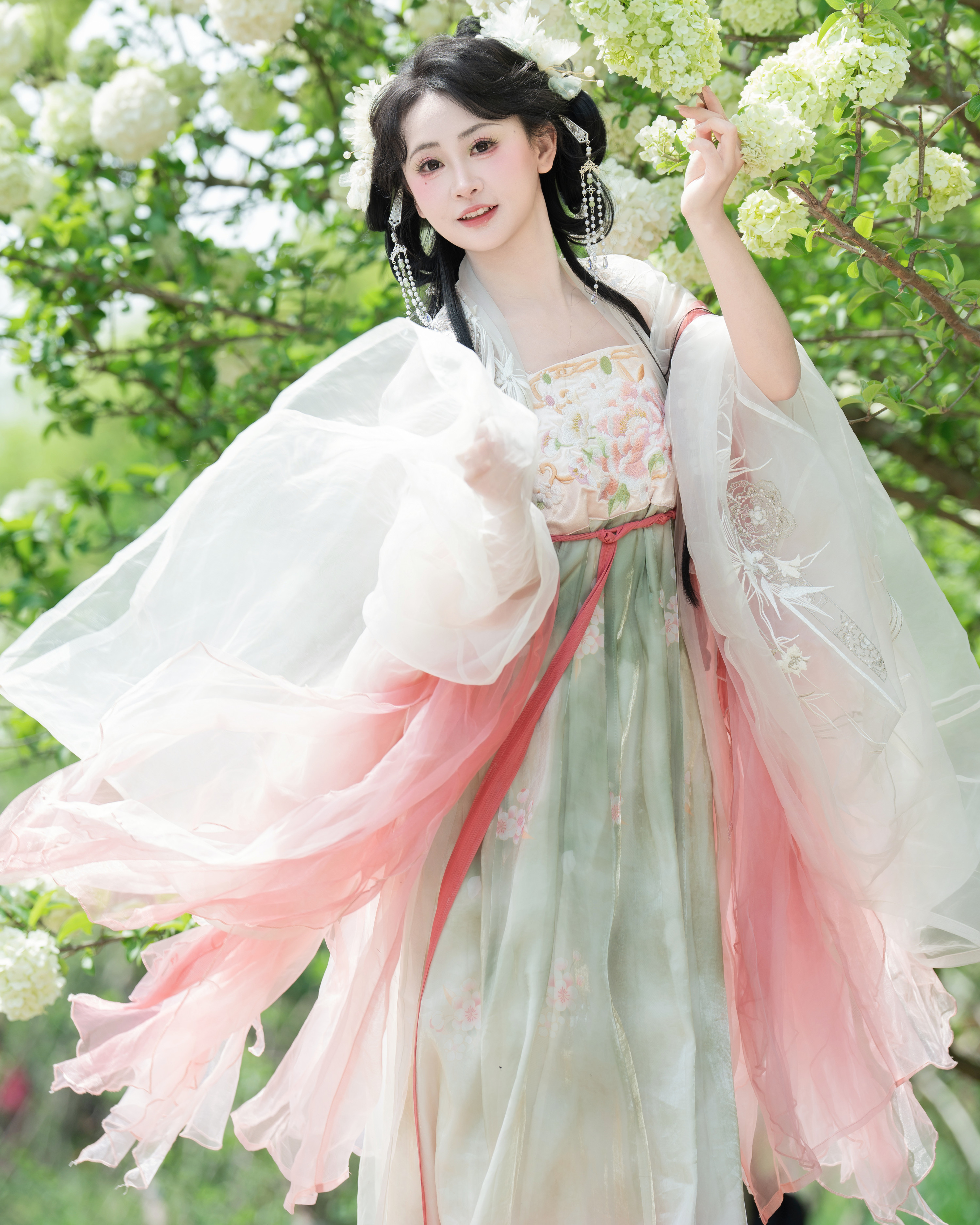 洁白绣球 湫一只岁岁