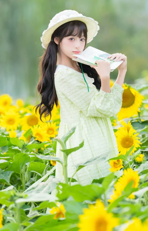 永远明媚 夏芋小年