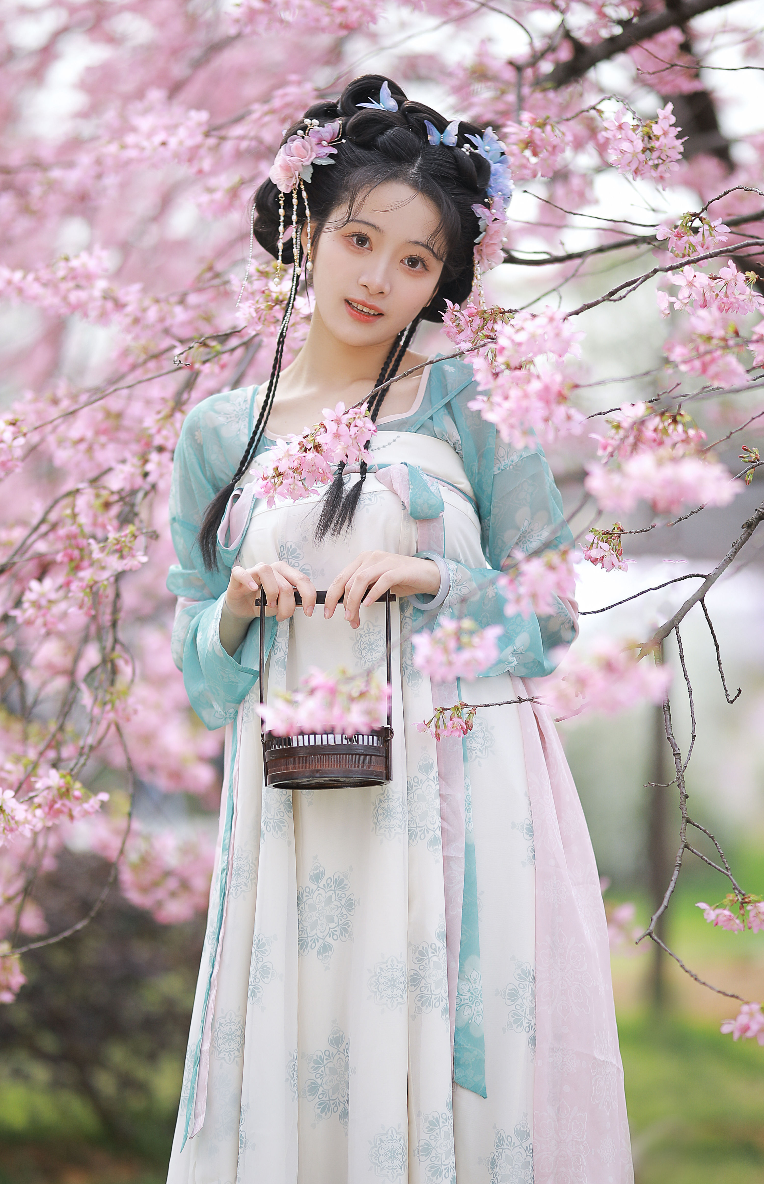 樱花少女 绵绵思远道