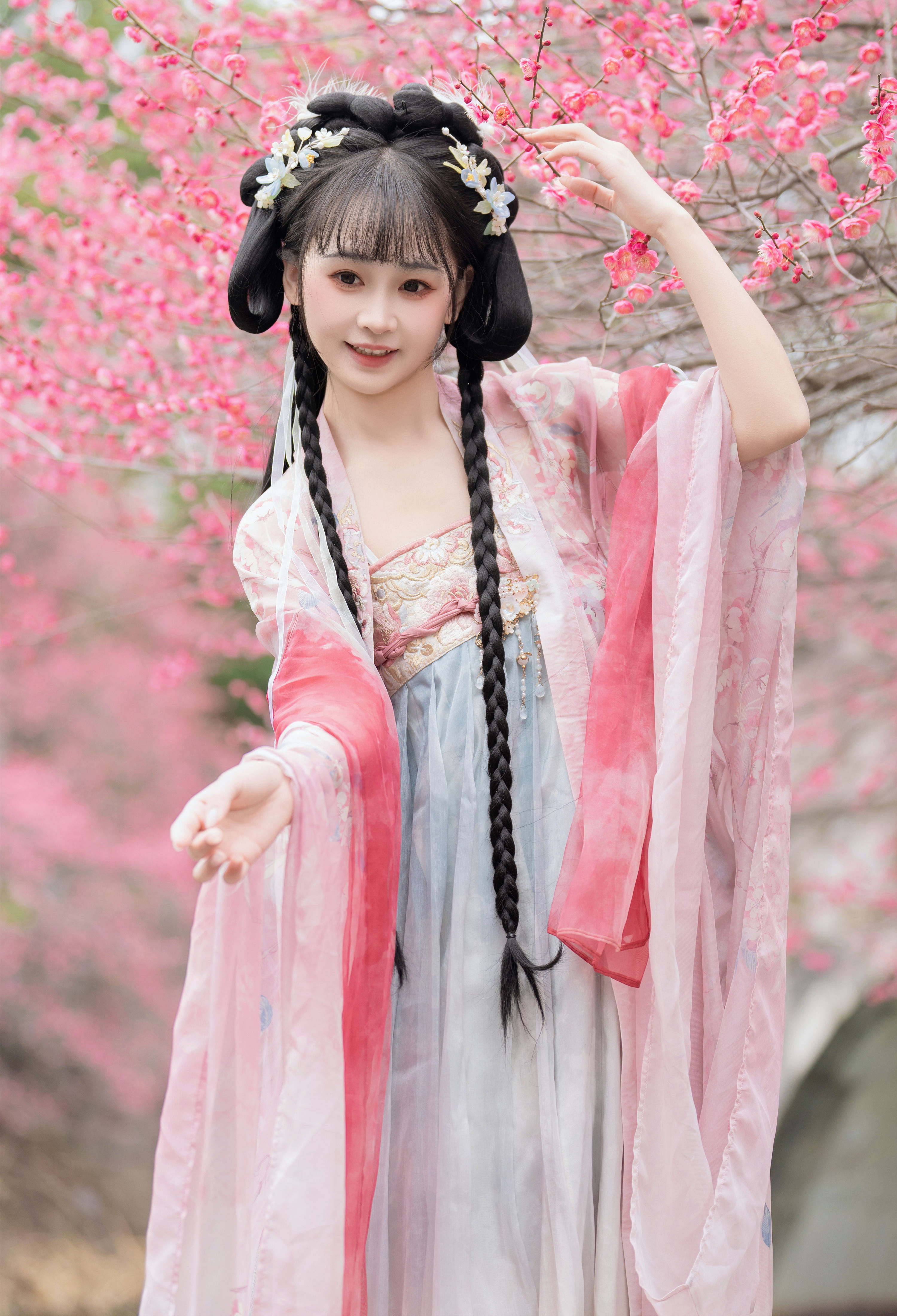 梅花盛开 湫一只岁岁