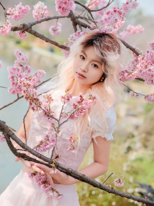 樱花树下 典典