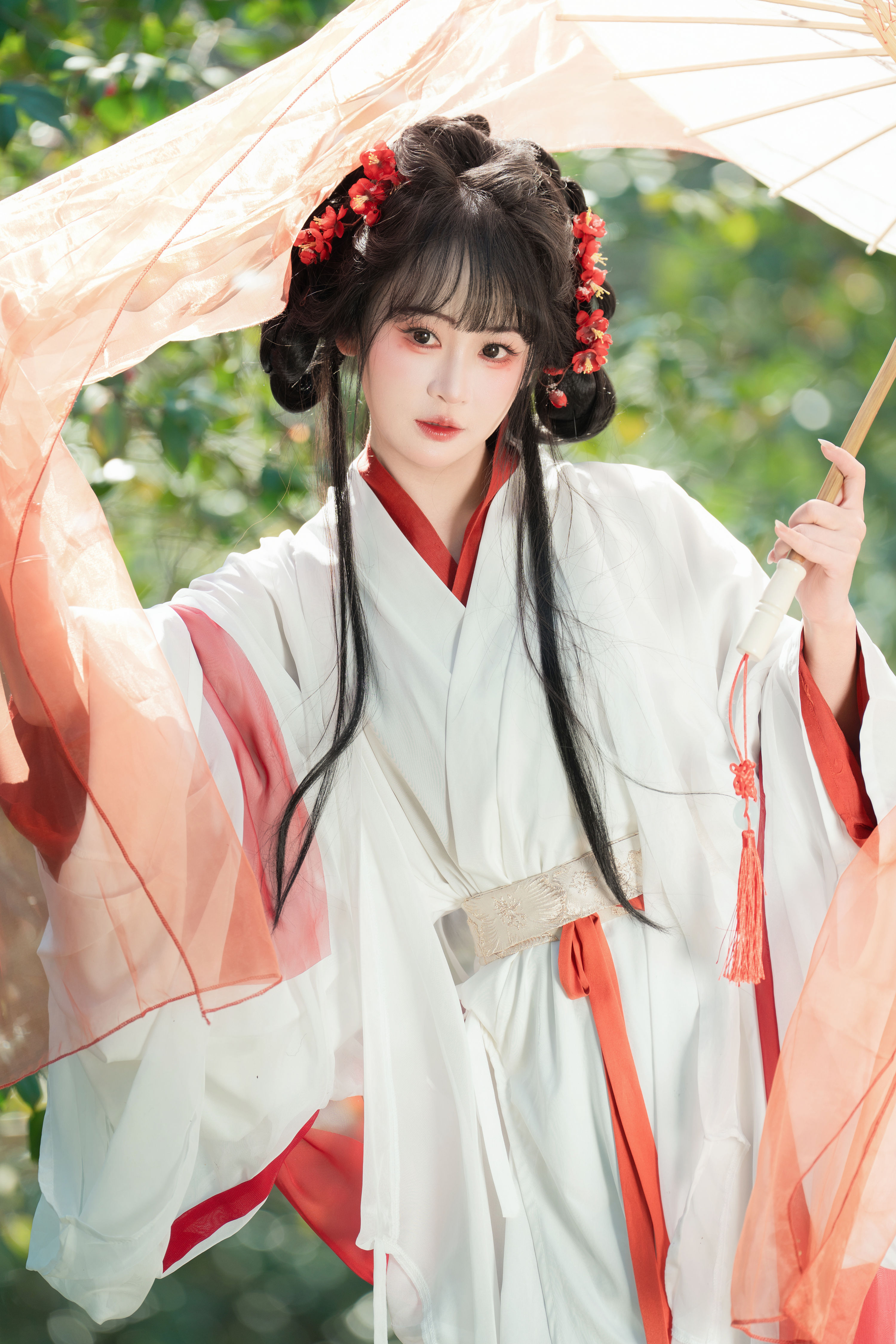 邂逅山茶花 湫一只岁岁