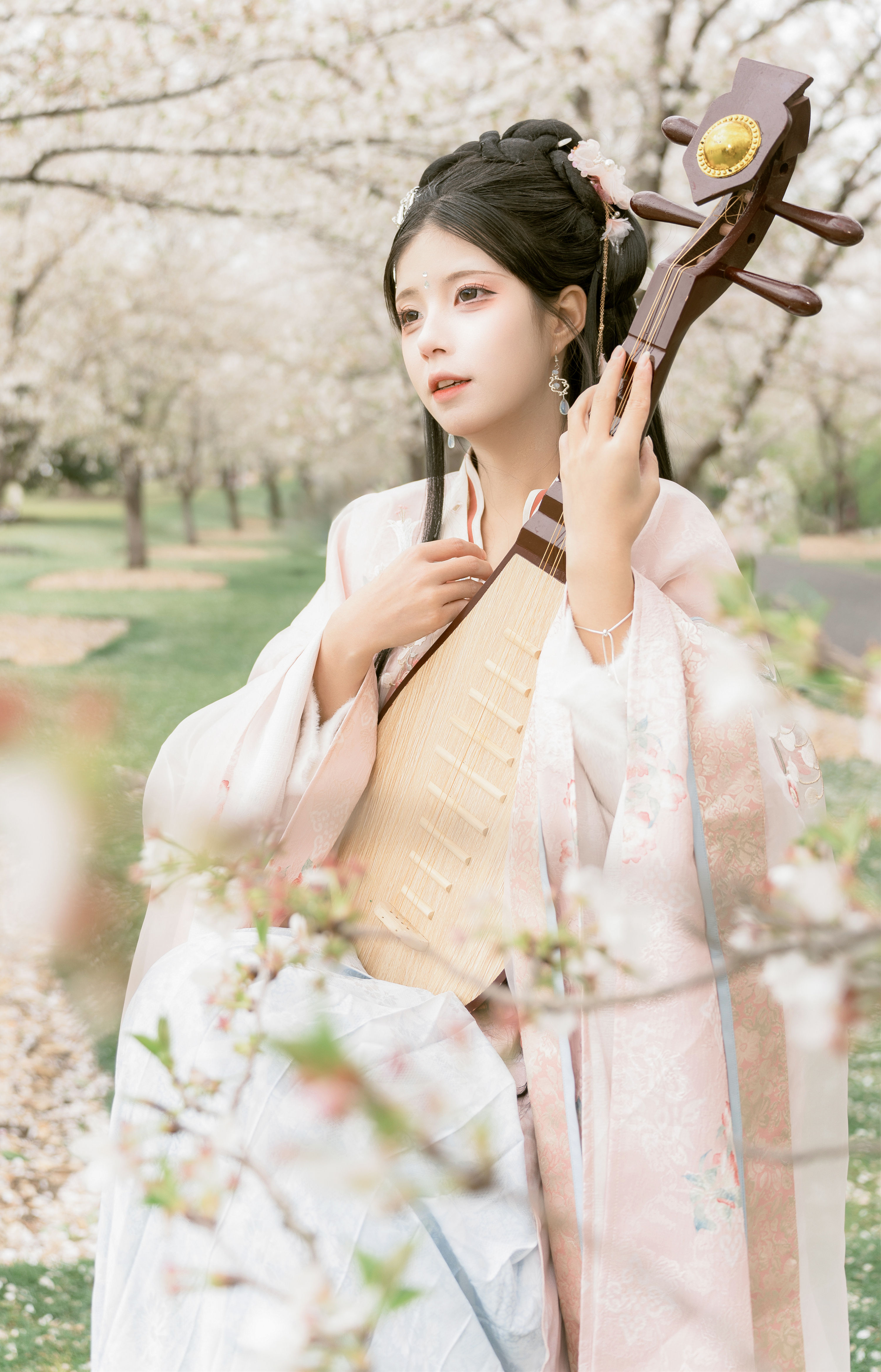 樱花林 琵琶情 顾言一